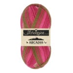 Scheepjes Arcadia Sockengarn *Sommerdeal* – Bild 5